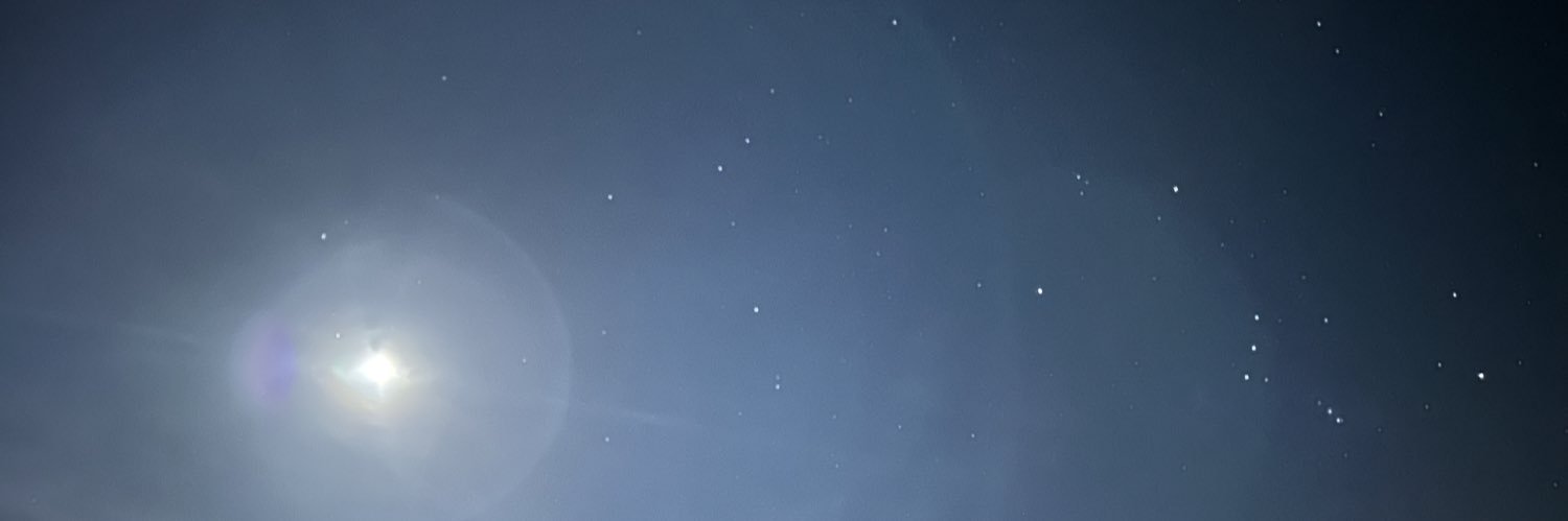 LvxLea's profile banner image