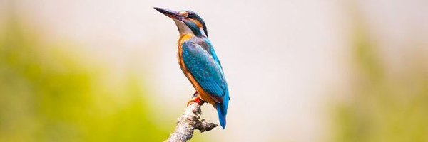 imDkmeenadausa Profile Banner