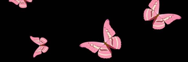 emilyy_mp's profile banner image