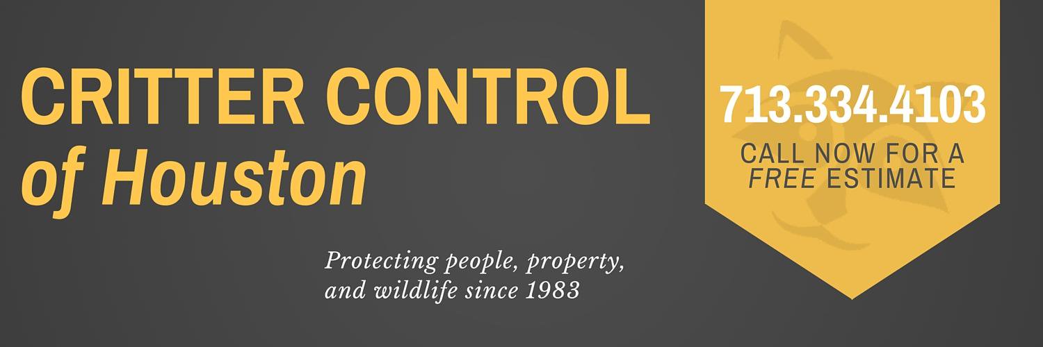 CritterControlH's profile banner image