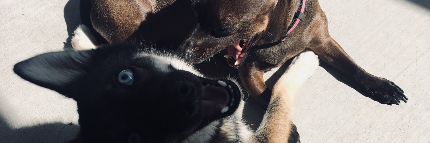 dropitlolo_'s profile banner image