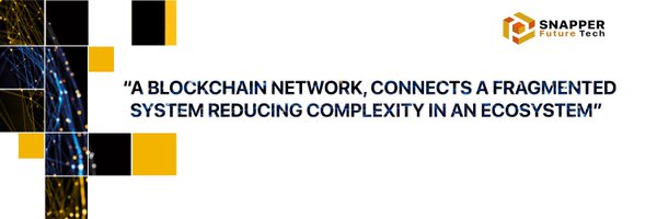 snapper_future Profile Banner