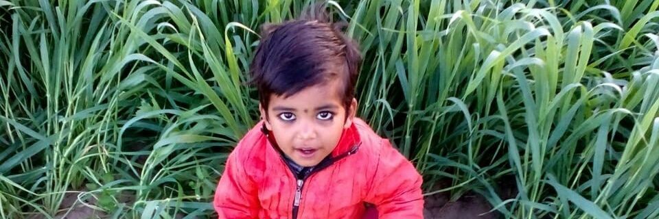 PRHALAd Rajasthan banner