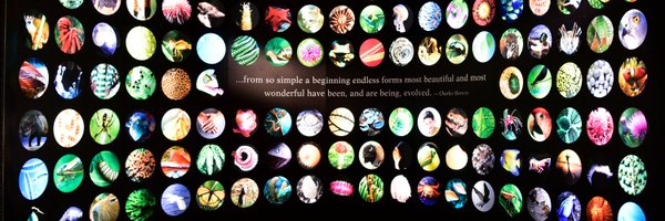 zhang_yongliang Profile Banner
