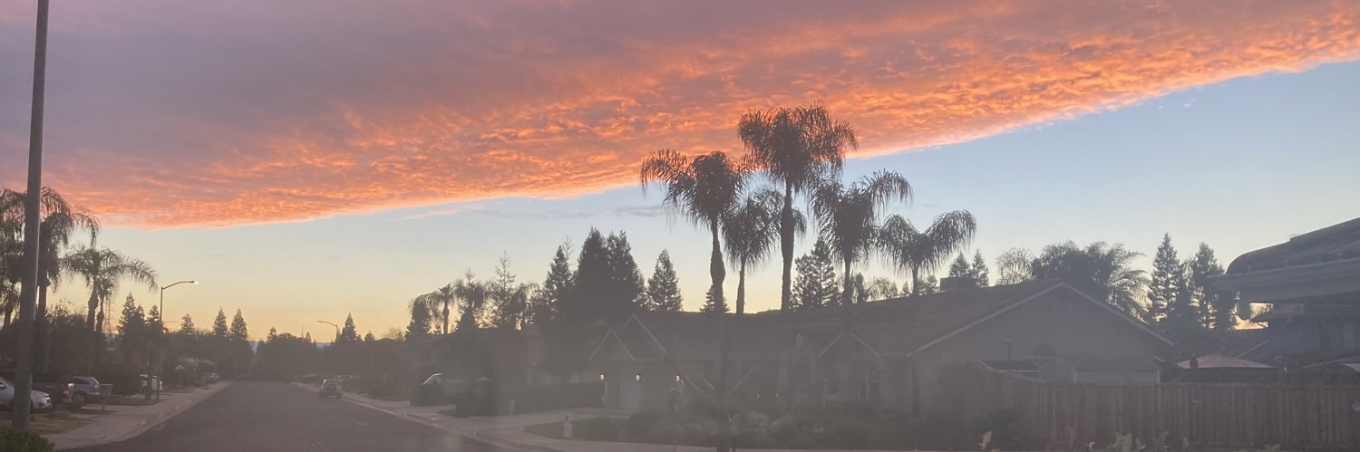 Chipster 🇺🇸🇺🇸🇺🇸 banner