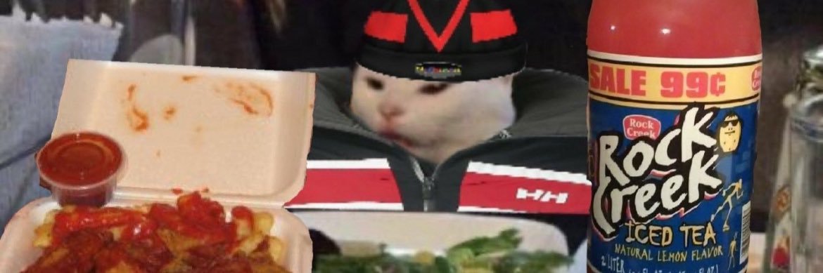 TheNameIsAce's profile banner image