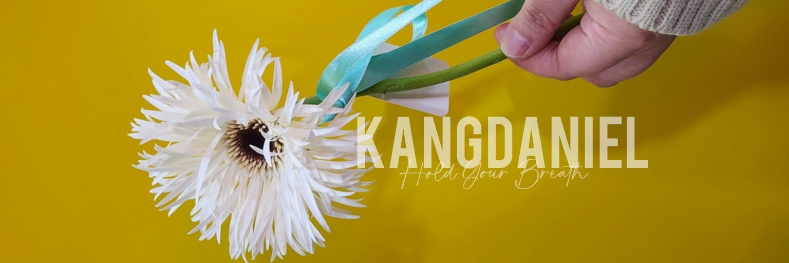 RingringADaniEl's profile banner image