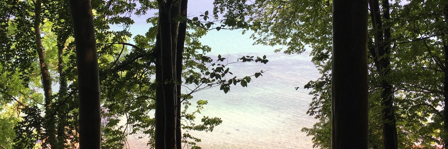 meamnes's profile banner image