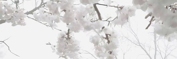 資格の学校TAC banner