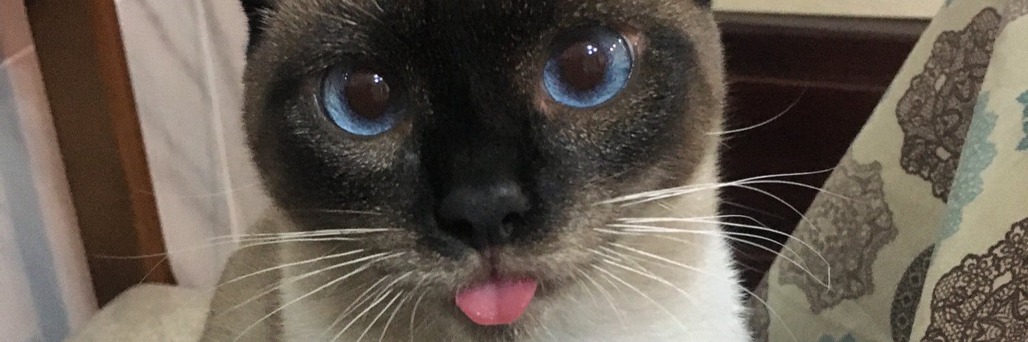 danielof23's profile banner image