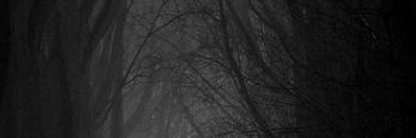 GatsbyAli Profile Banner
