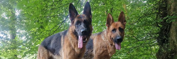 JBarclay89 Profile Banner