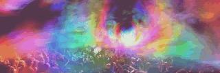 Lia_zanichelli's profile banner image