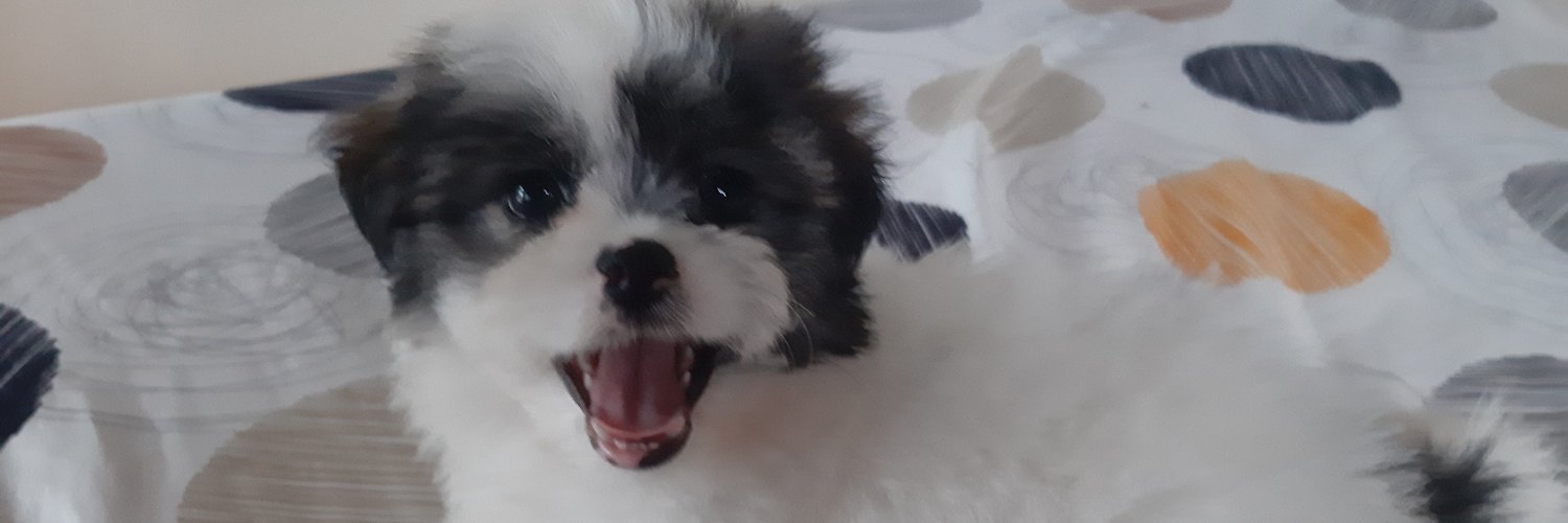 ElizabethTT_'s profile banner image