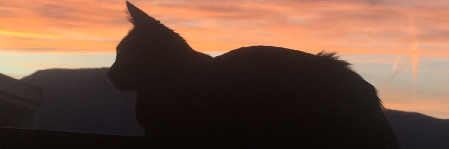 quuentin23's profile banner image