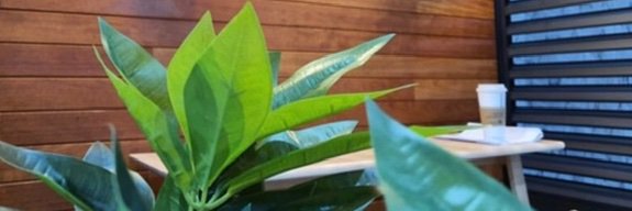 Sleeptime banner
