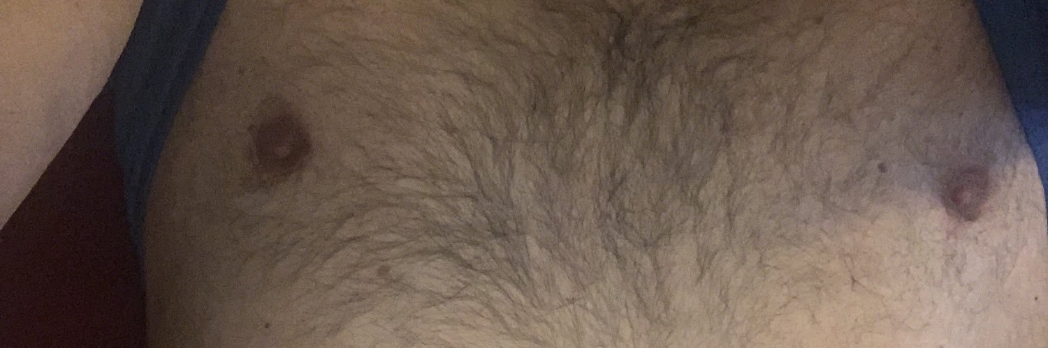 Chip-a-dee-doo-dah banner