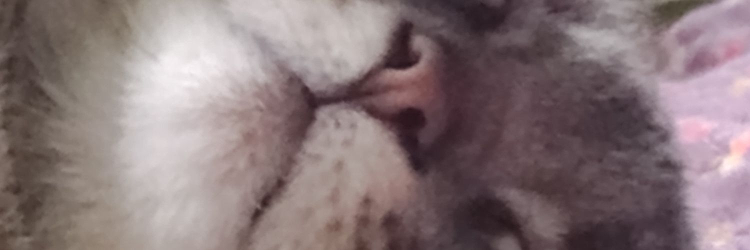 danielavaras's profile banner image