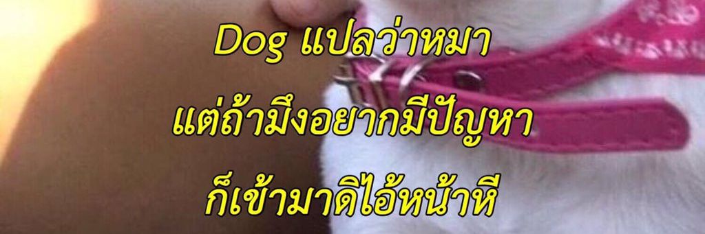 It'smeฟิวส์🐱 Ft:กลับมาแน่วครับ;-; banner