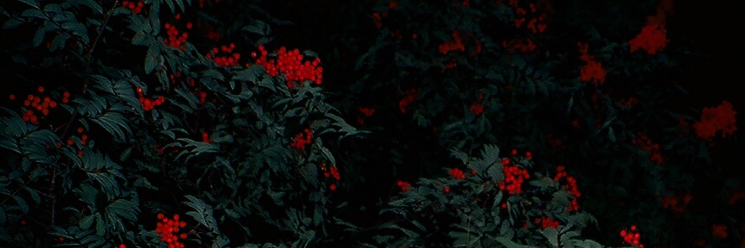 Nannestunna's profile banner image
