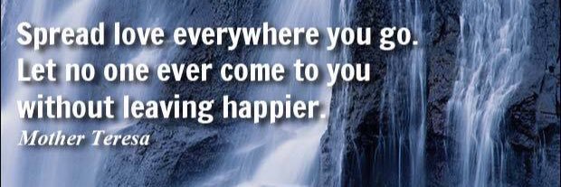 Sandy McDonald banner