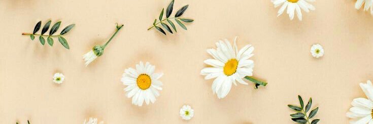 MarianaToro16's profile banner image