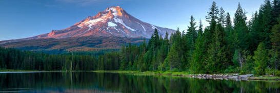 Tiago Splitter banner