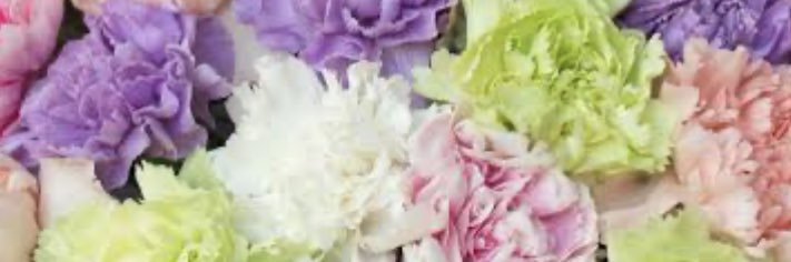Mine_MG95's profile banner image