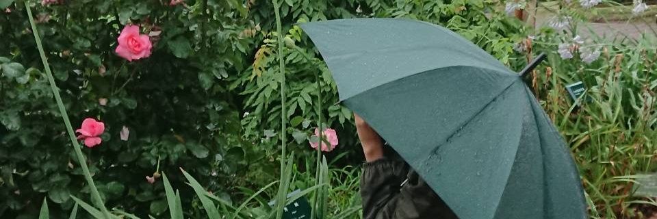toki_hg's profile banner image