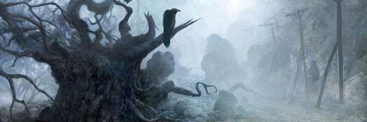 Jurgensfp's profile banner image
