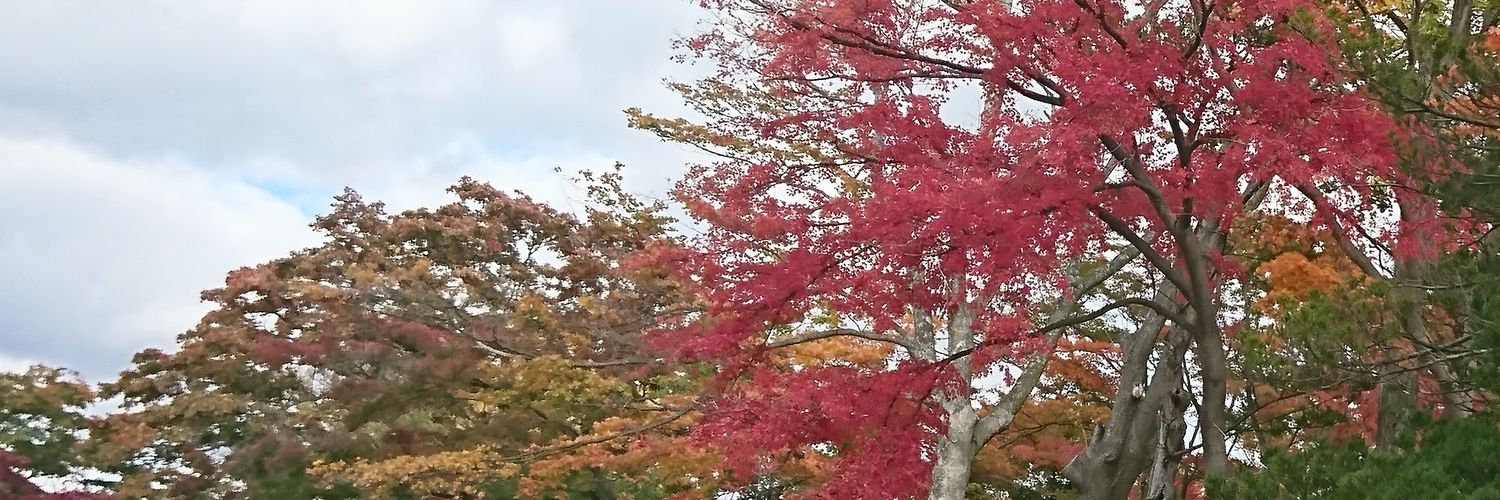 たびぐるみ　テル子の日記 banner