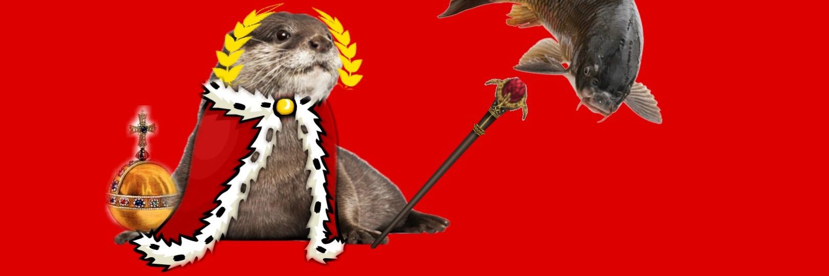 Otter Braun's banner