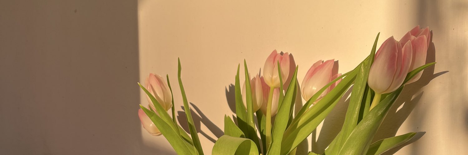 ViolaBerti1's profile banner image
