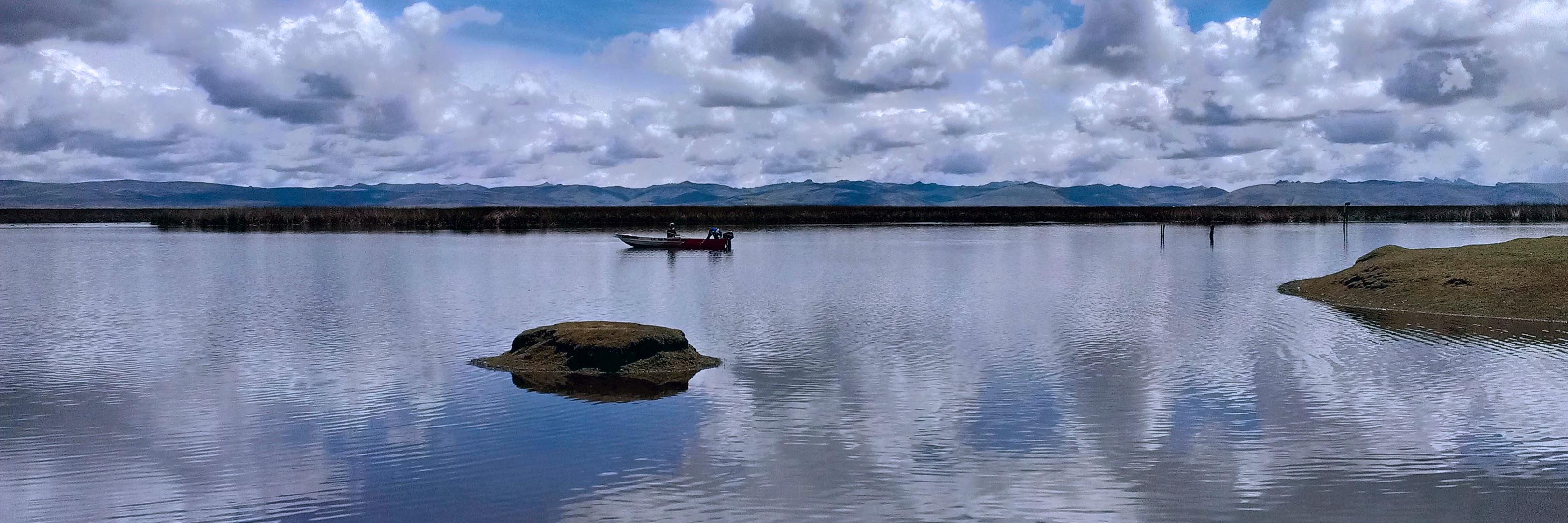 Manongo Sterne 🇮🇱 banner