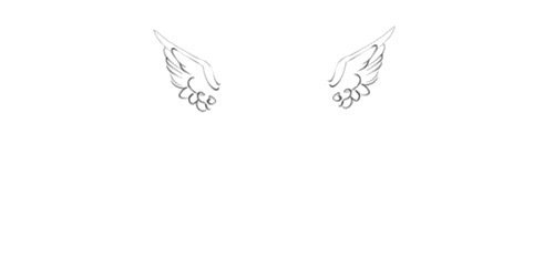 MahoneCaylen's profile banner image