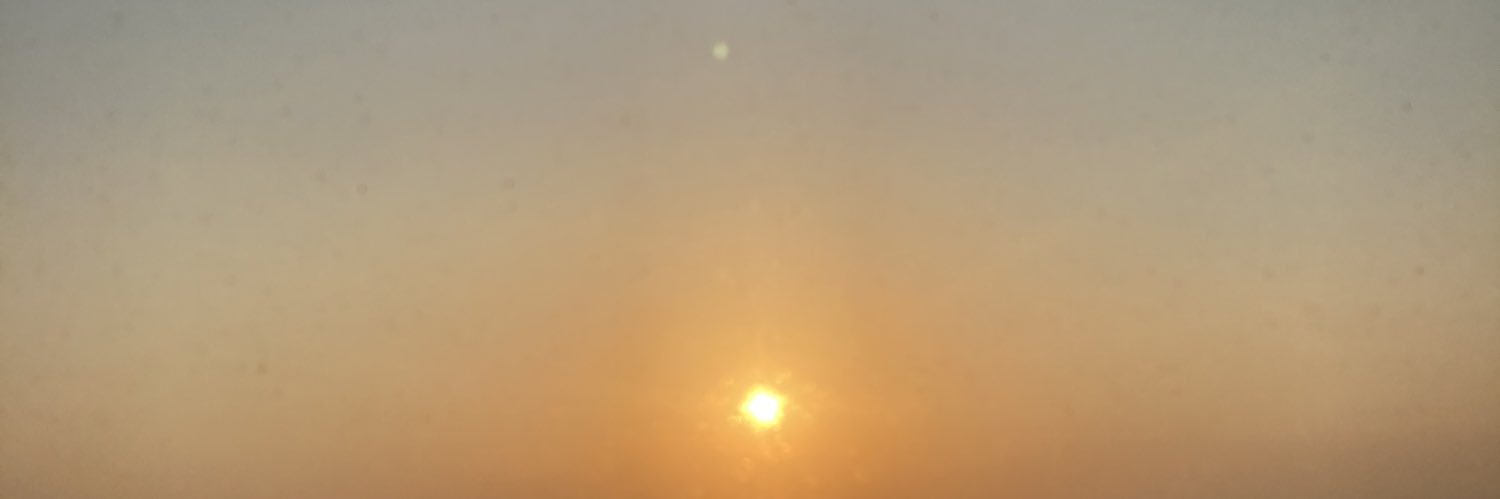 5starGator's profile banner image