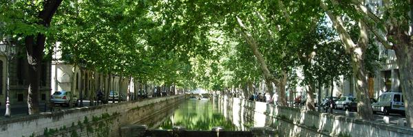 Boomzorg Profile Banner