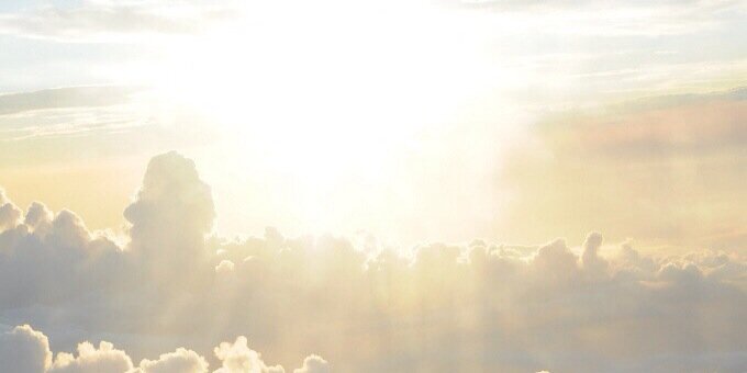 necterepassus's profile banner image