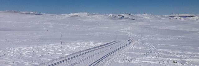 Dag Strømsnes banner