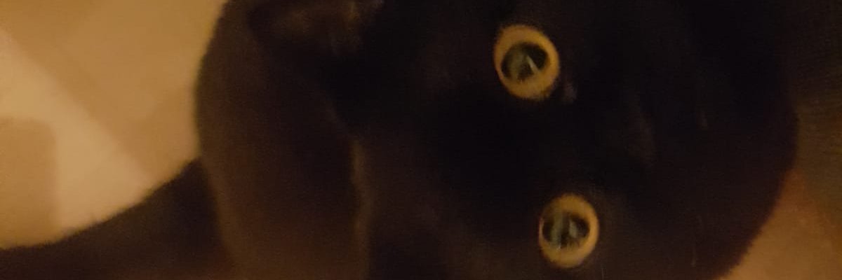 jadersecht's profile banner image