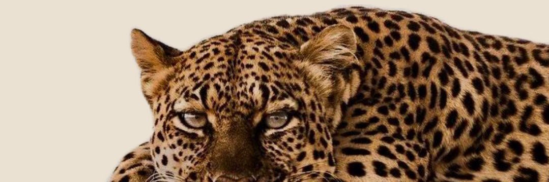 deeupdates1's profile banner image