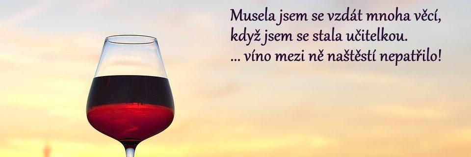 Zápisník (začínající) matky banner
