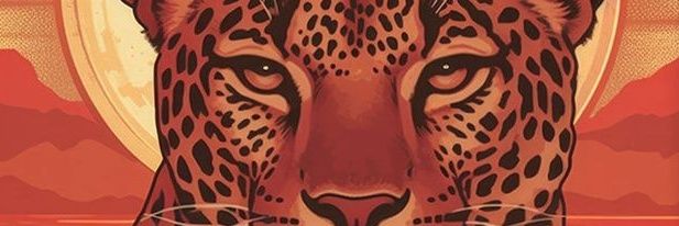paulacecly's profile banner image