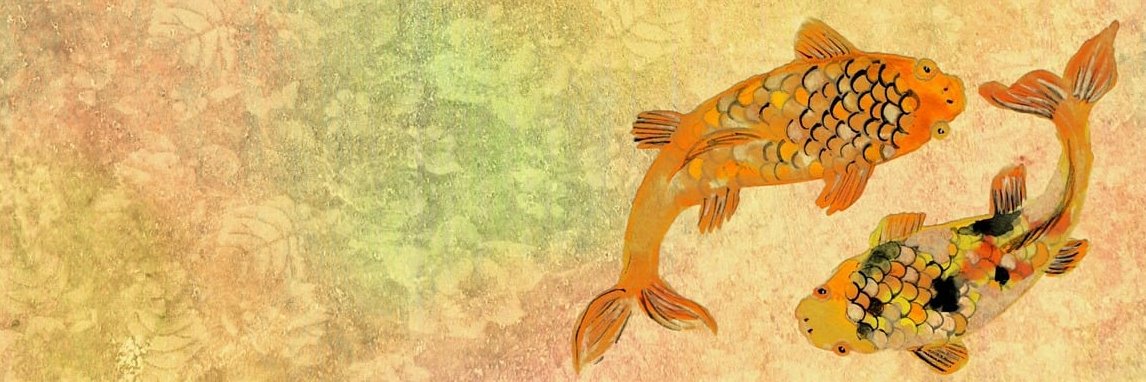 0xohno's profile banner image
