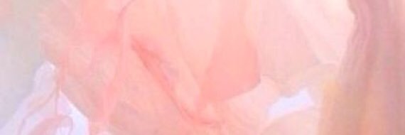 ph_Norah's profile banner image