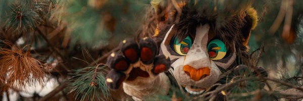 sheenitude Profile Banner