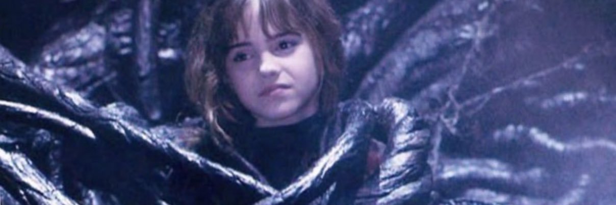 helenatorresp's profile banner image