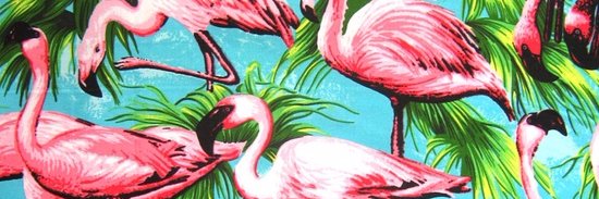 Doctor Libowitz banner