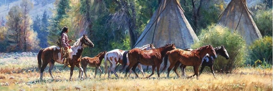 Native Americans banner