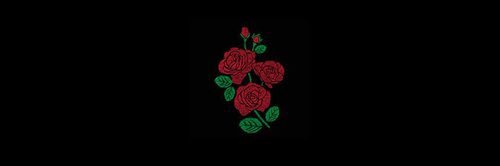 aaallienoel's profile banner image